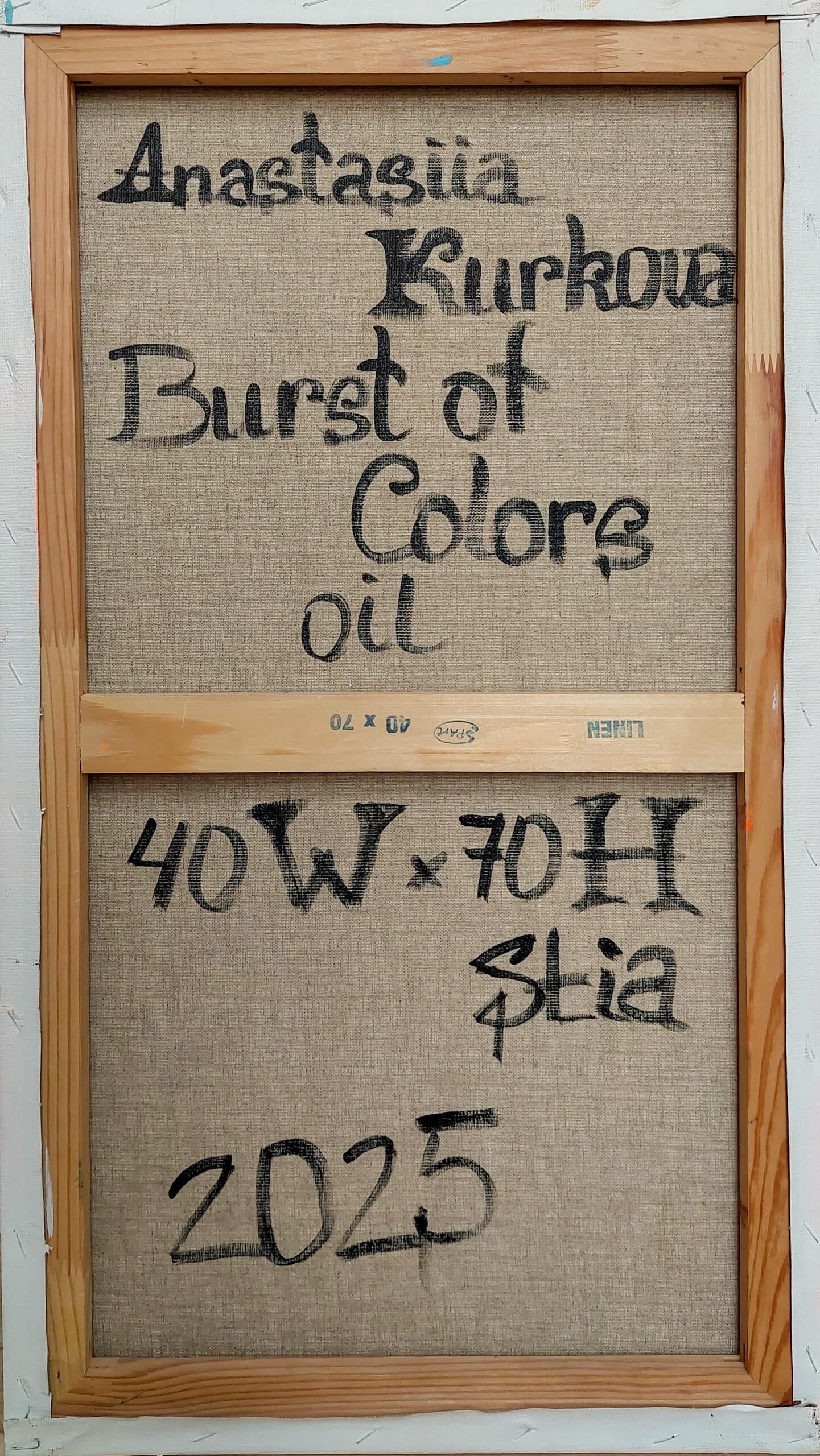 Burst of Colors - Image 6
