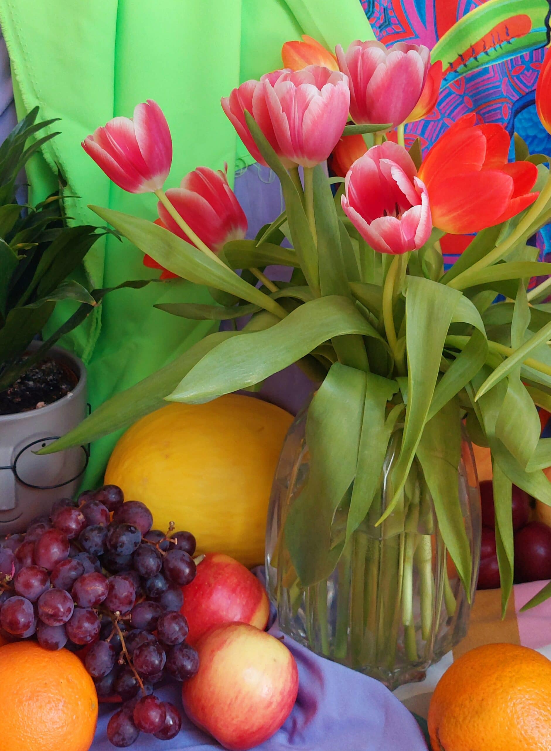 Tulips Carnival - Image 3